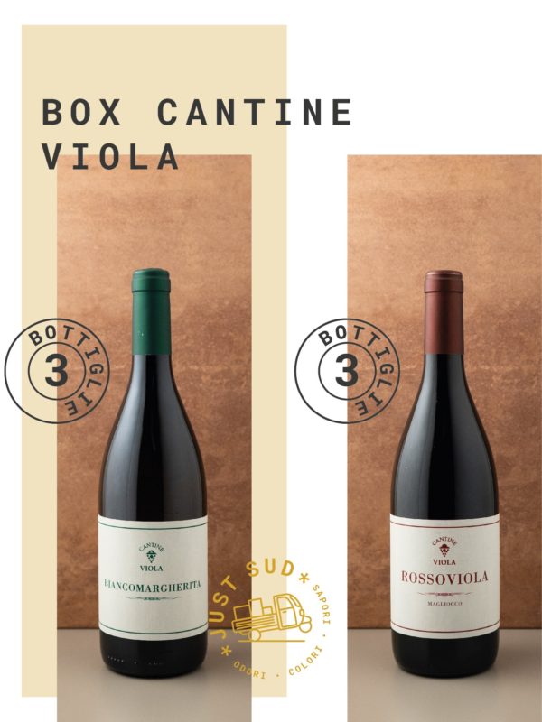 Box Cantine Viola Just Sud