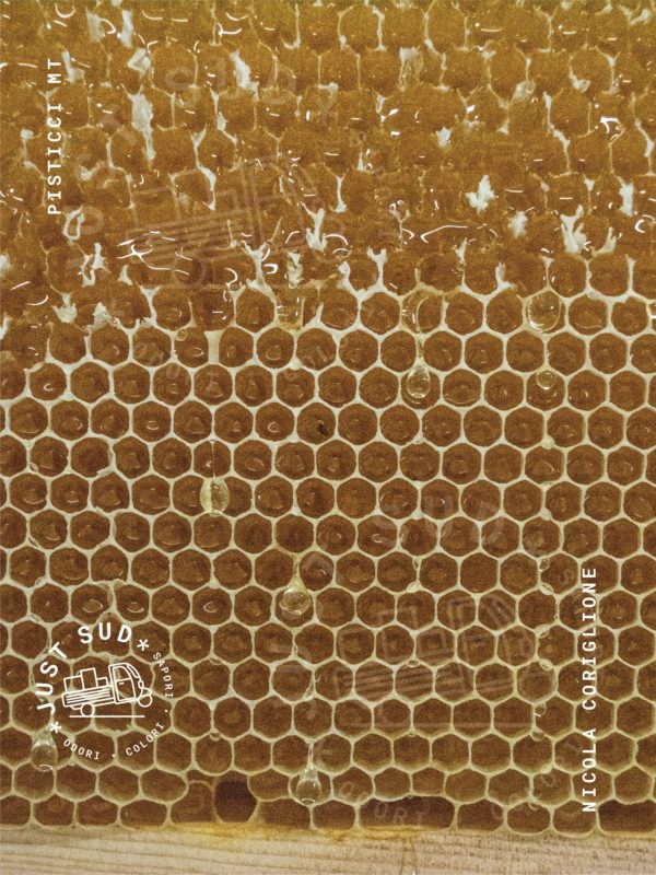 Mieletture api miele biologico Basilicata 3